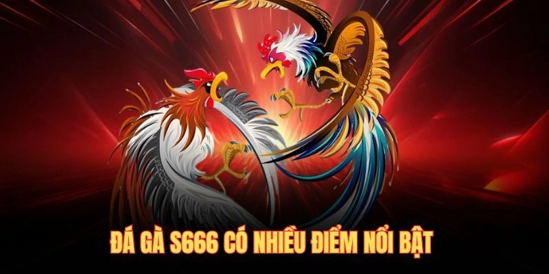 Đá gà S666 có nhiều điểm nổi bật